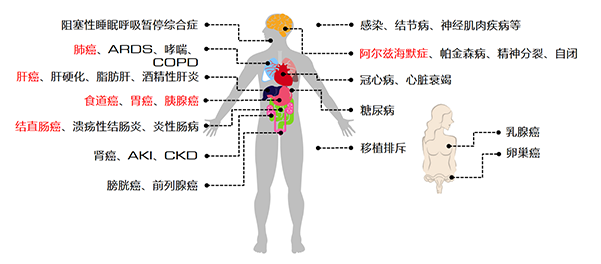 科研-医疗-呼吸2-600.jpg.png