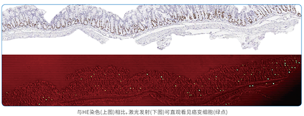 科研-医疗-激光显微镜-600.png