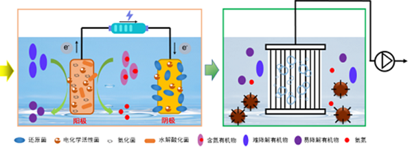 科研-环境-生物耦合-600.png