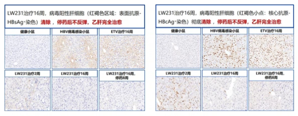 a06bfb59-82a7-4ebc-a409-6a51748e61d1.jpg