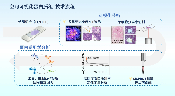 微信图片_2026-09-04_151443_577.jpg