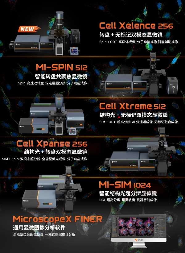 微信图片_2026-10-28_164904_665.jpg